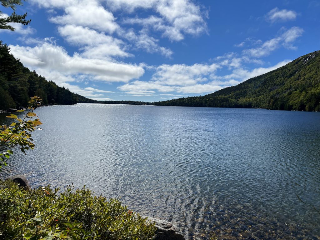 There are no bad days at the lake. Quest Floor Care cleans carpets, tile, grout, and upholstery at homes all around Claytor Lake.