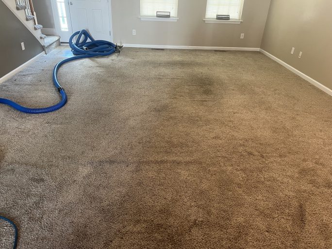 carpet cleaning in Blacksburg is a popular service. This rental carpet is dirty and full of stains. Picture was taken while Quest Floor Care was in the process of shampooing the carpet.