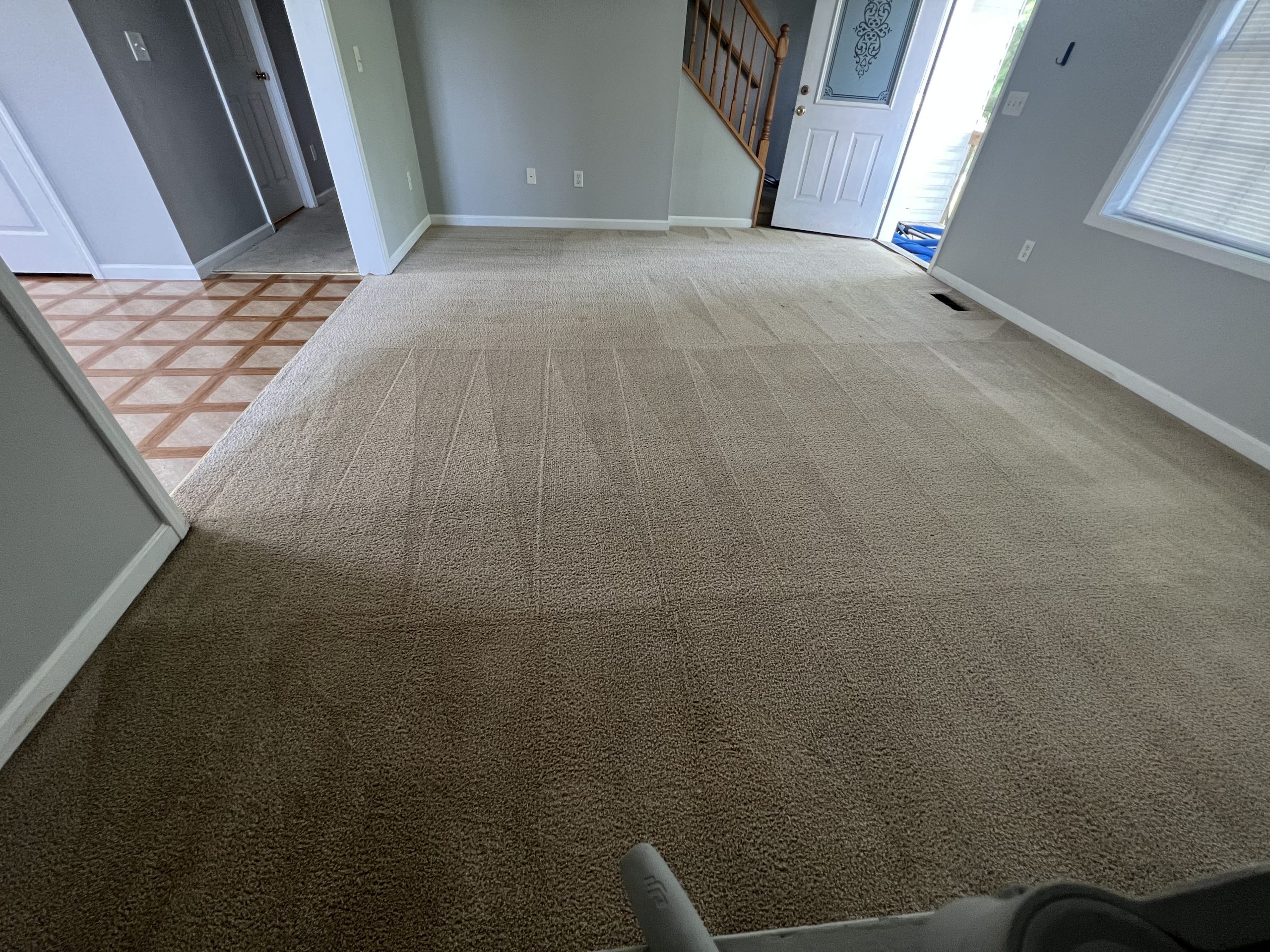 Carpet stain removal complete in Radford, VA, rental property