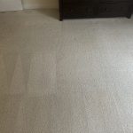 Stains have been removed and clean carpets are shown in this picture from a Blacksburg, VA home