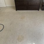 Stains in a bedroom carpet in Blacksburg, VA. Quest Floor Care was called for stain removal and carpet cleaning services.