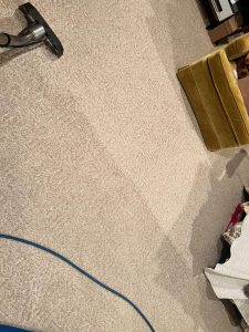 Read more about the article What makes Quest Floor Care “the best” choice for carpet cleaning?