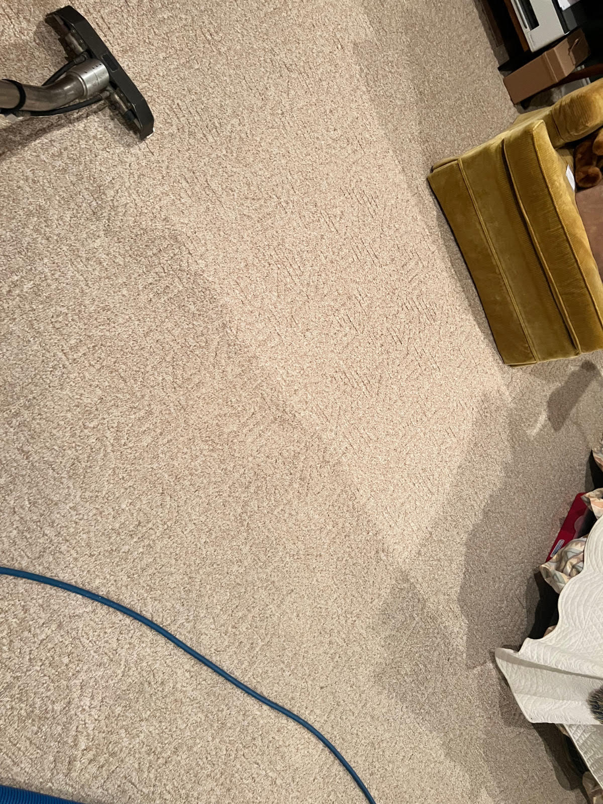 Carpet Cleaning in Radford, Virginia